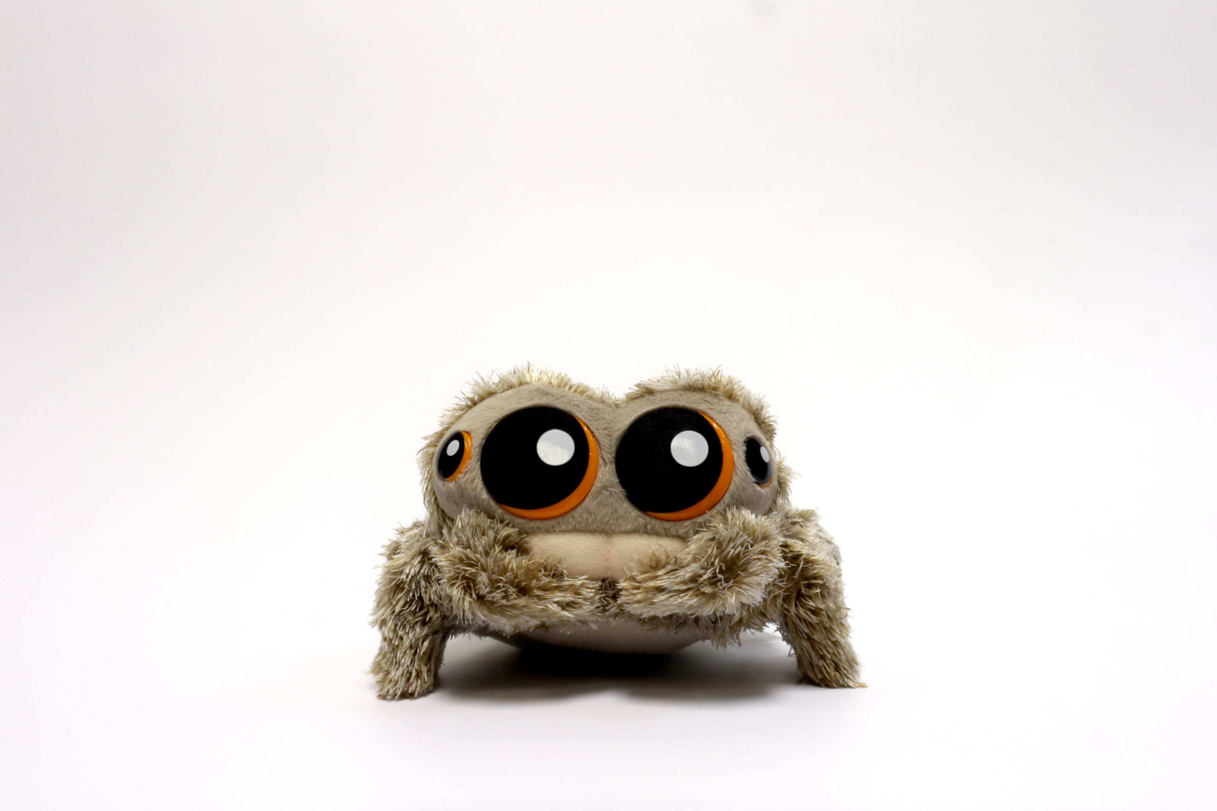 lucas the spider doll